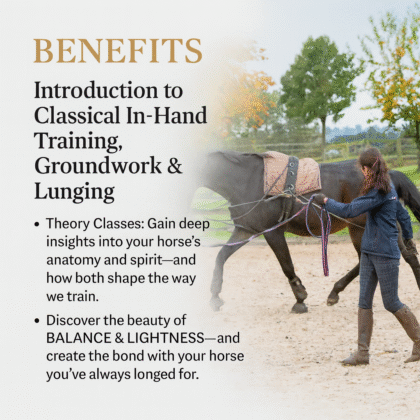 Horse Training: Classical In-Hand Work for Strength &Balance