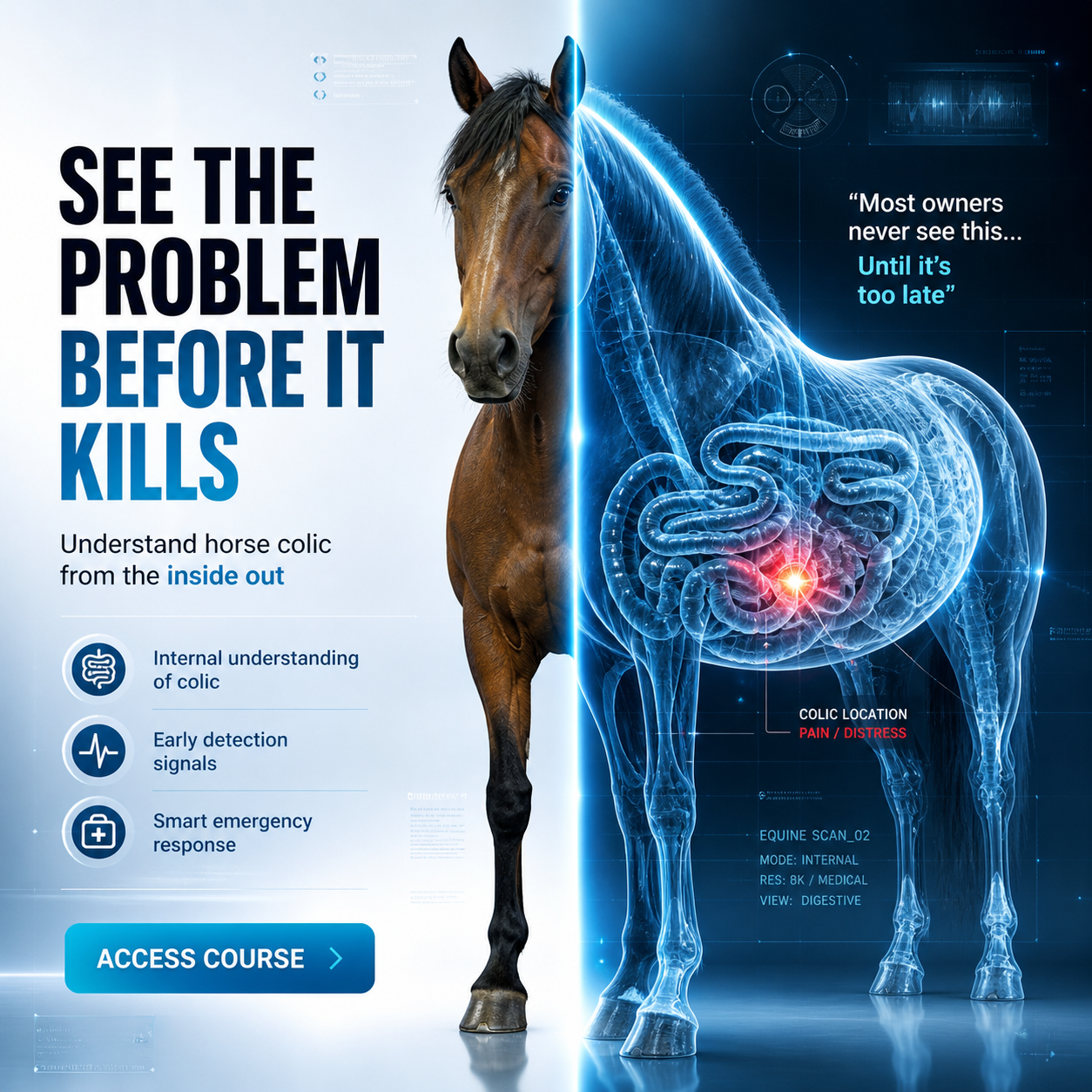 Horse Colic: Emergency Management & Life-Saving Decisions
